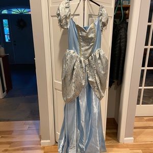 Adult Cinderella costume size L worn once